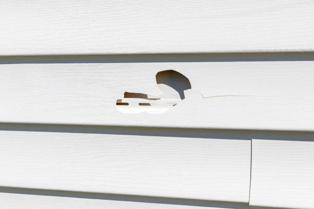 Best Fiber Cement Siding Installation  in Bladenboro, NC