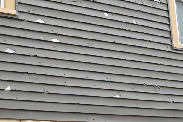 Best Stucco Siding  in Bladenboro, NC