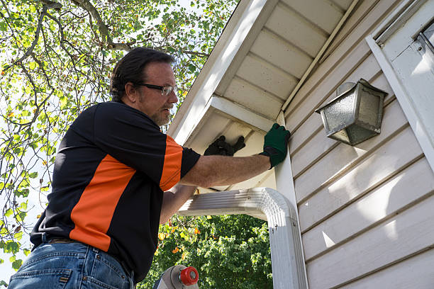 Best Siding Painting and Refinishing  in Bladenboro, NC